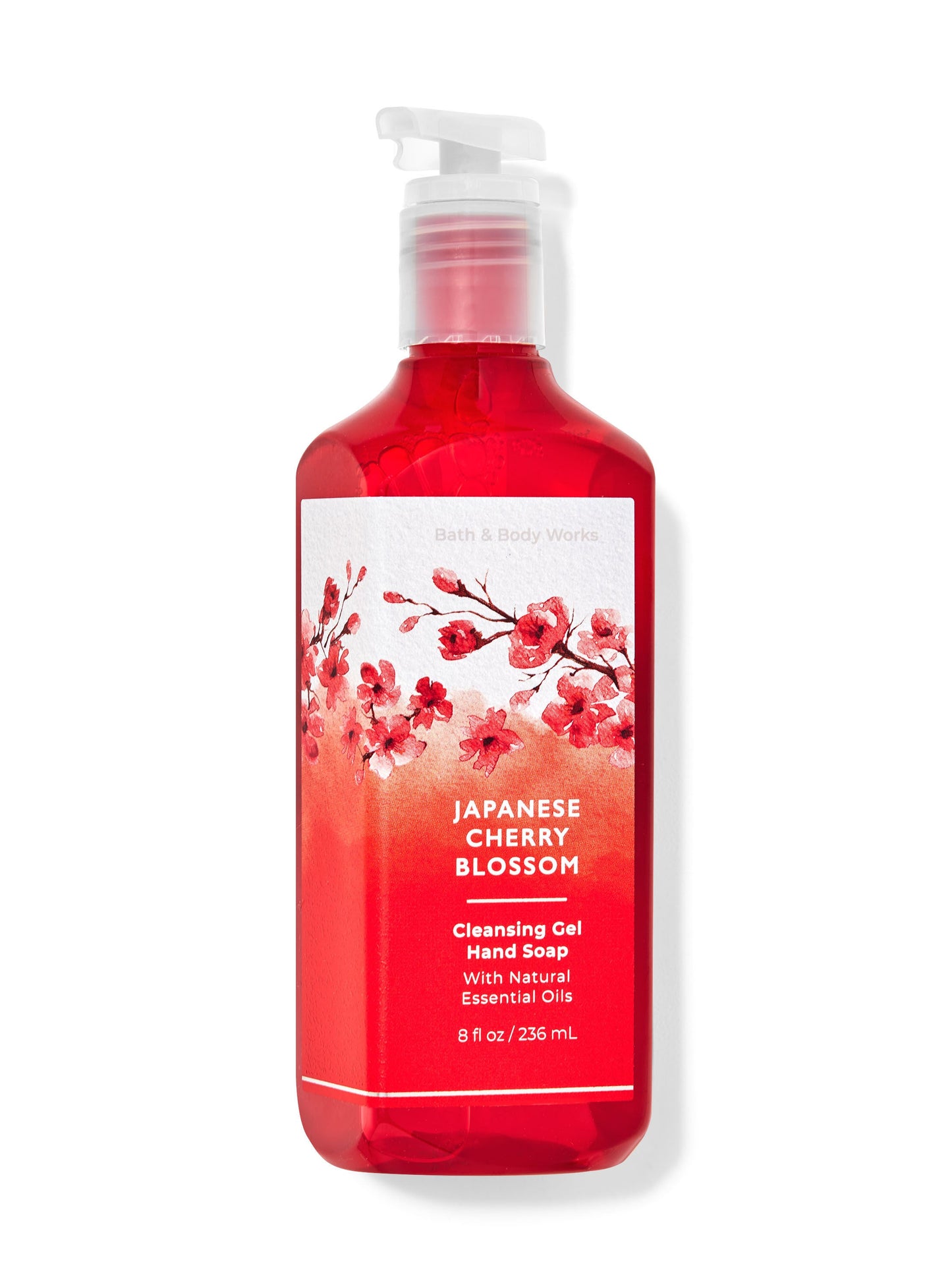 Japanese Cherry Blossom