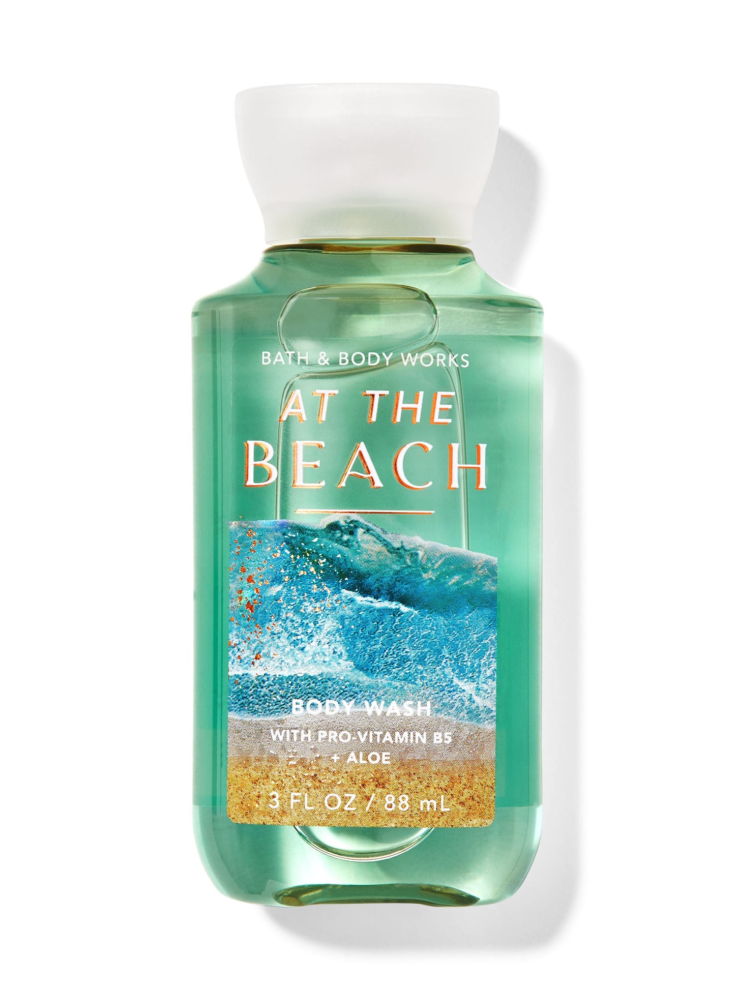 At the Beach