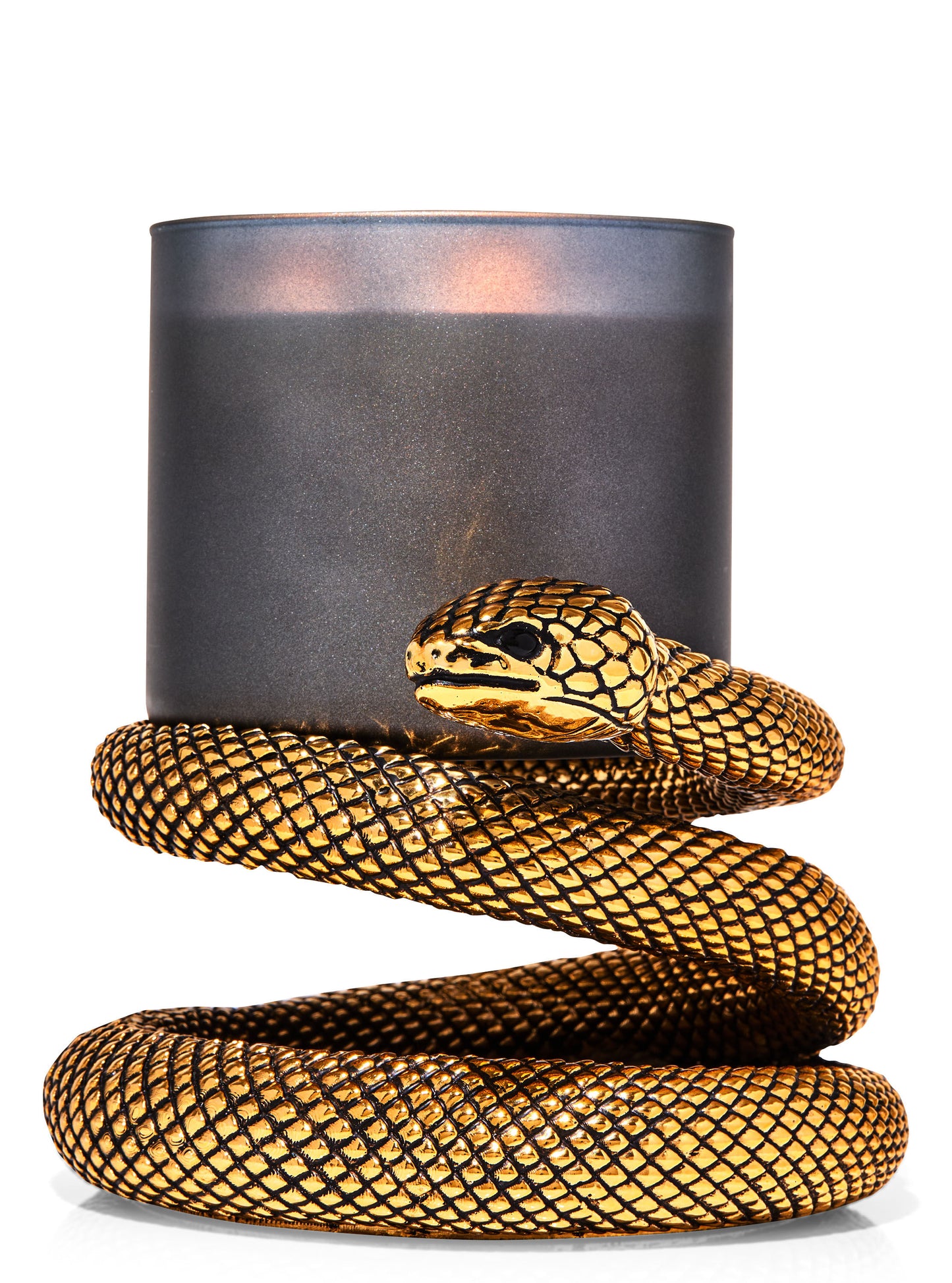 Coiled Snake