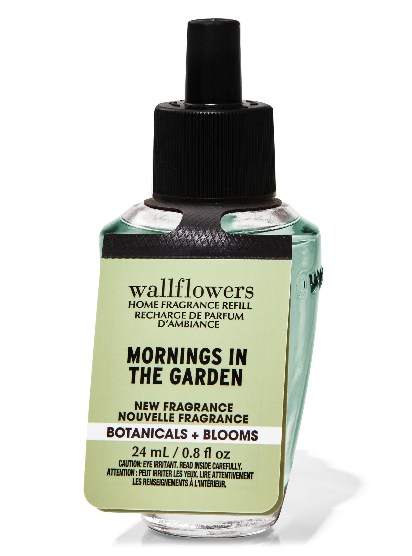 Mornings In The Garden