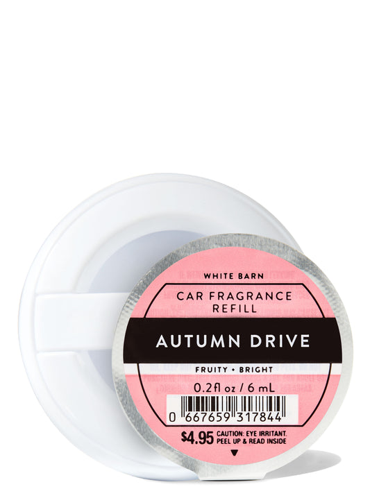 Autumn Drive