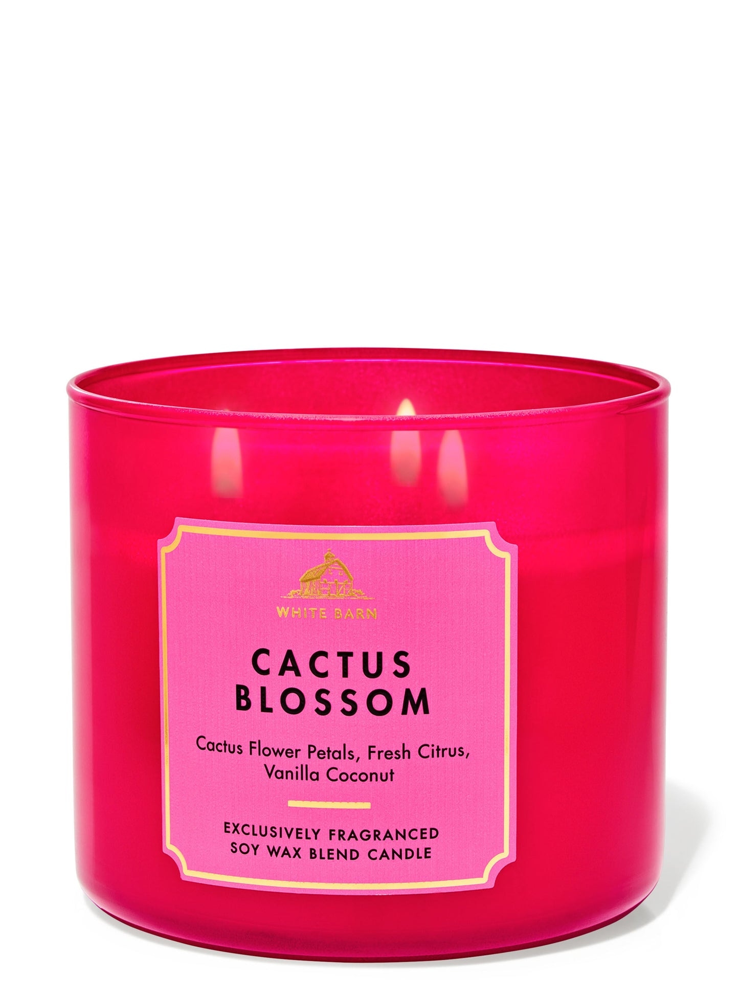 White BarnCactus Blossom