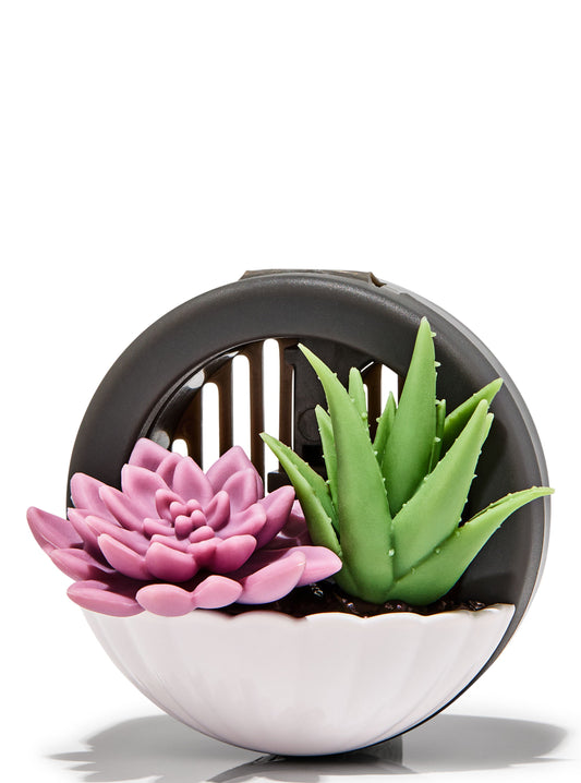 Succulent